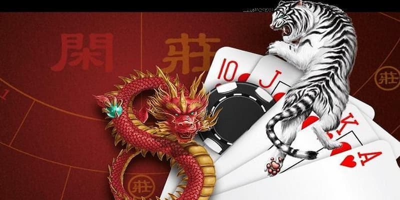 Cách chơi Dragon – Tiger online chuẩn xác nhất